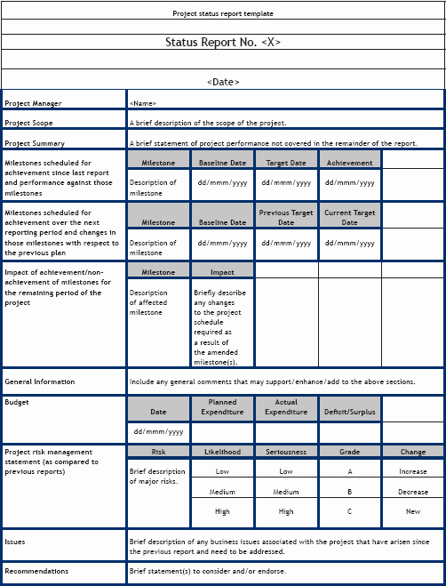 Sample Project Status Report Template