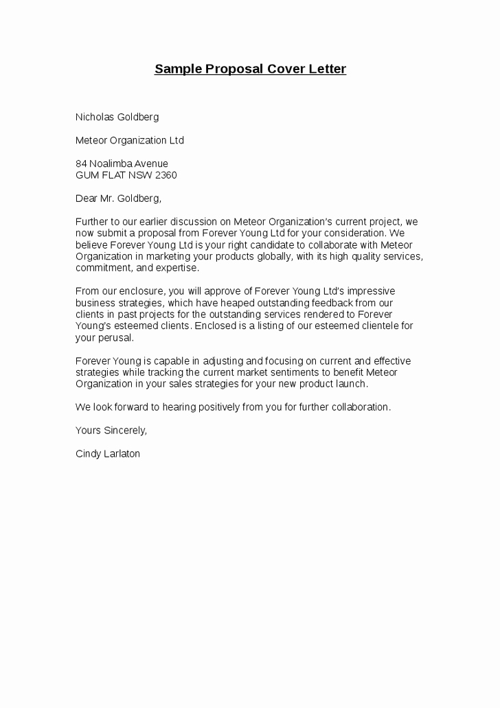 Sample Proposal Letter for A New Job Position