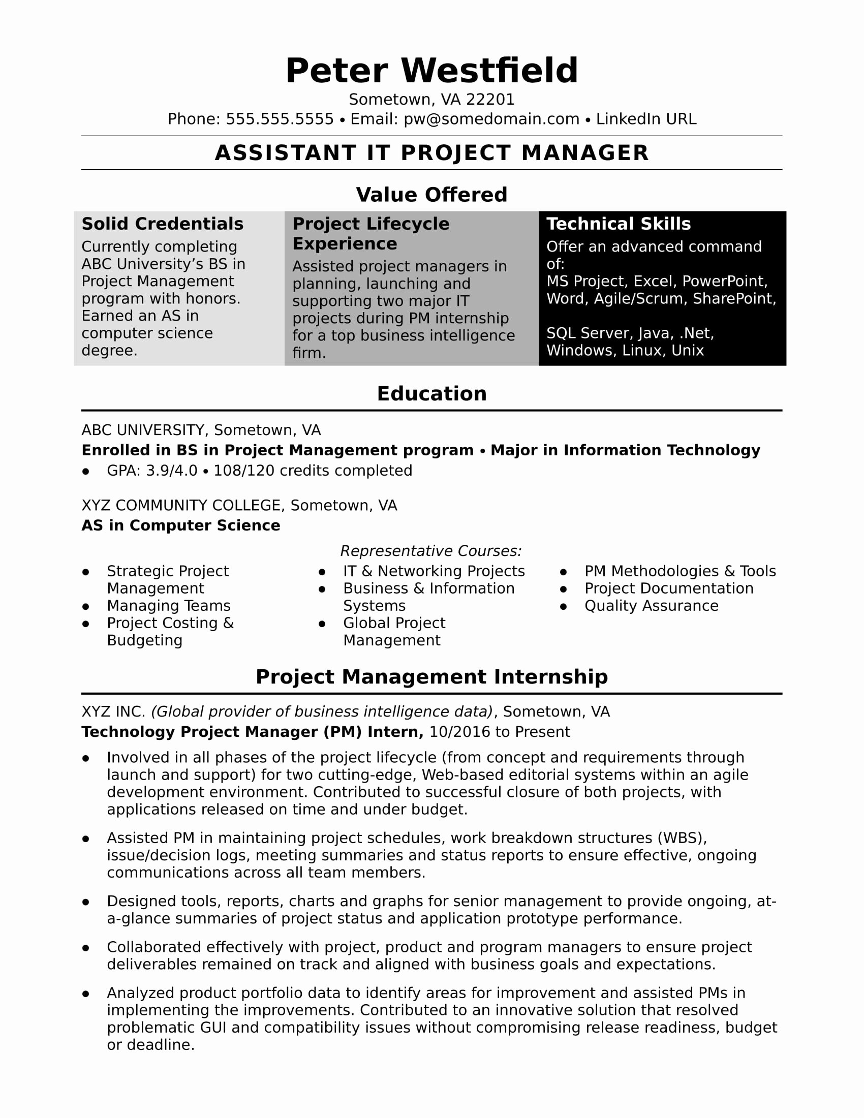 Sample Resume for An assistant It Project Manager