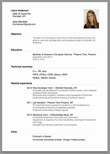 Sample Resume for Job Application