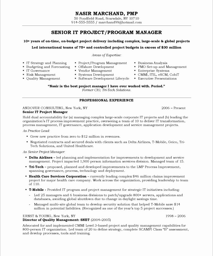 Sample Resume for Project Manager