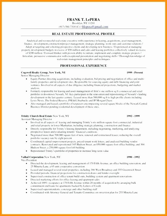 Sample Resume Objective Real Estate Agent Writing Guide