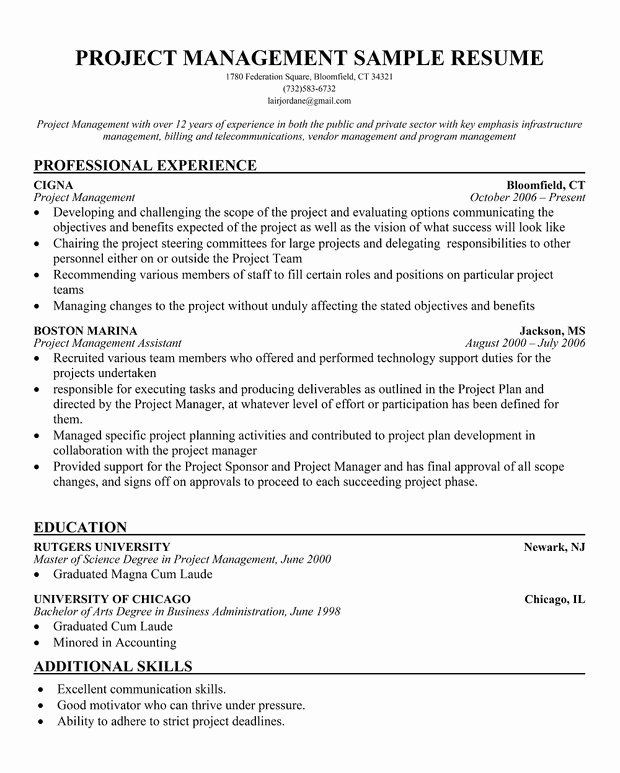 Sample Resume Project Manager