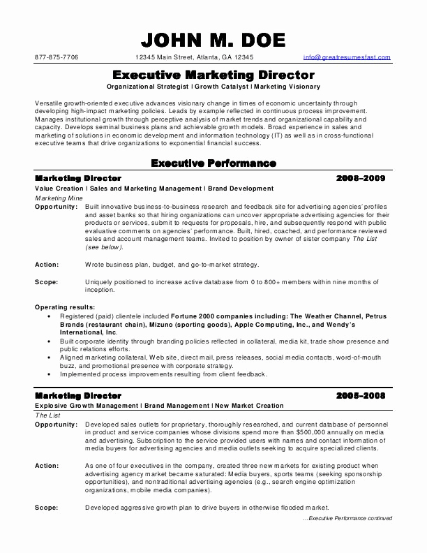 Sample Resumes Marketing Director Resume