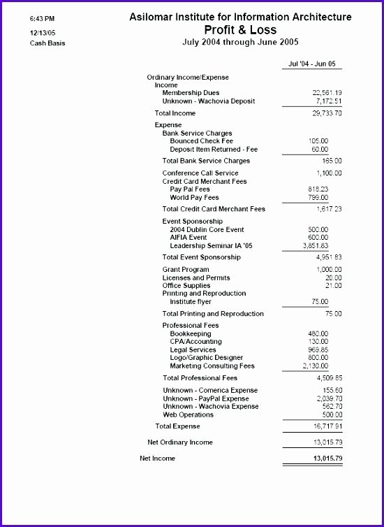Sample Treasurers Report Template Excel Treasurer Pattern