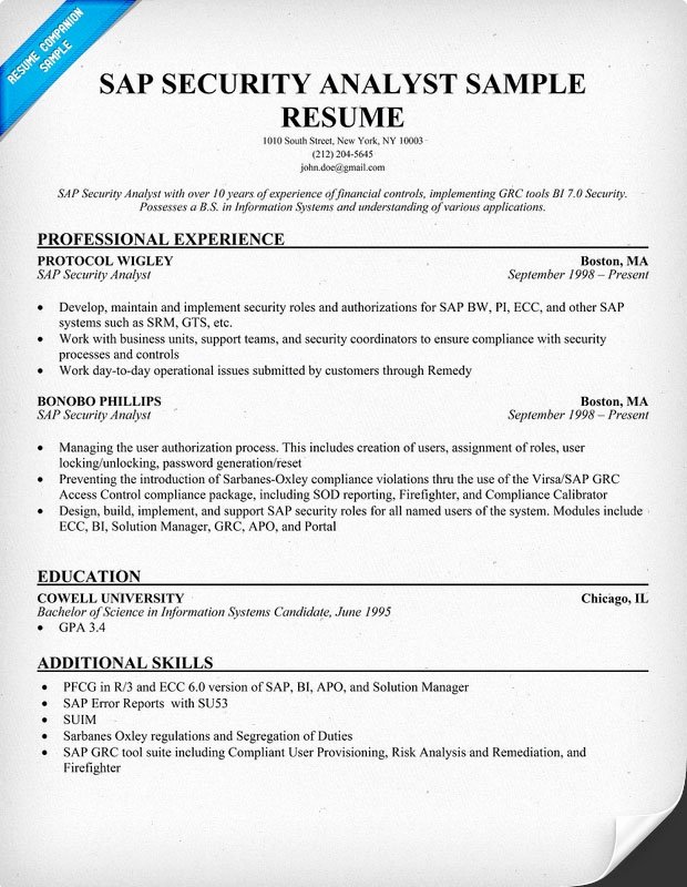Sap Bi Sample Resume Best Resume Gallery
