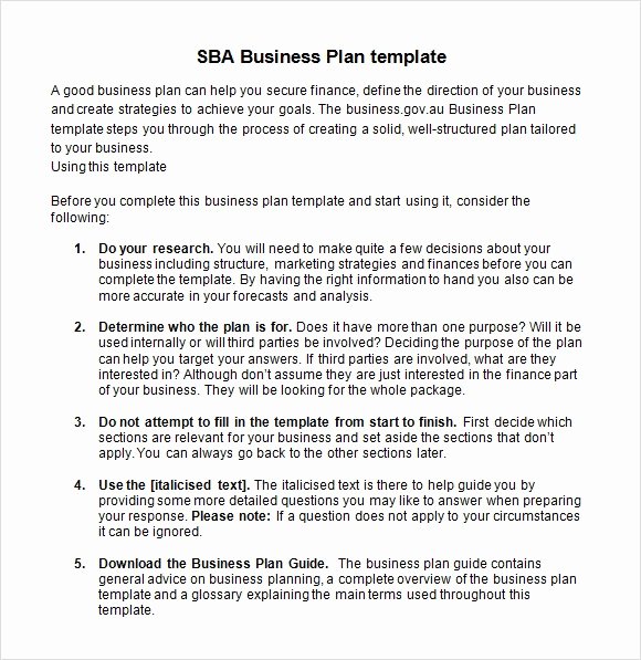 Sba Business Plan Template