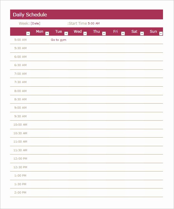 Schedule Template – 39 Free Word Excel Pdf format