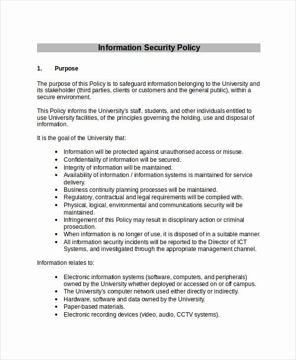 Security Policy Template 7 Free Word Pdf Document