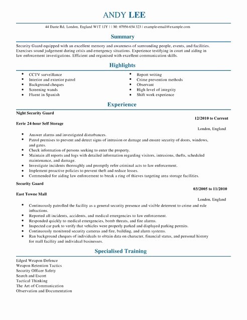 Security Resume Examples
