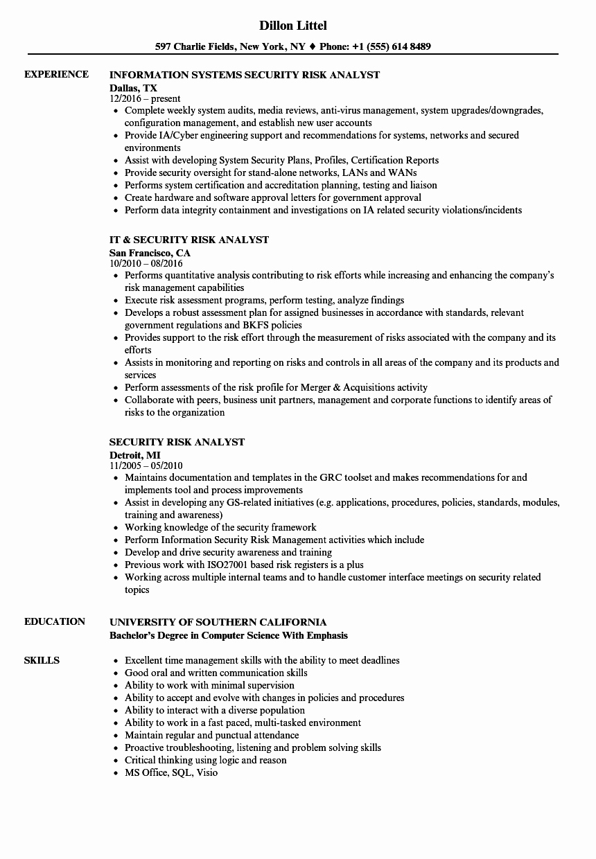 Security Risk Analyst Resume Samples