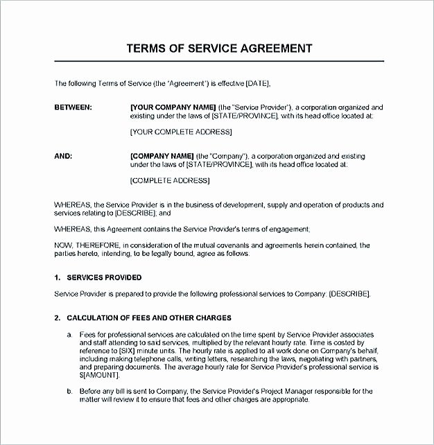 Service Contract Template and Important Terms to Write