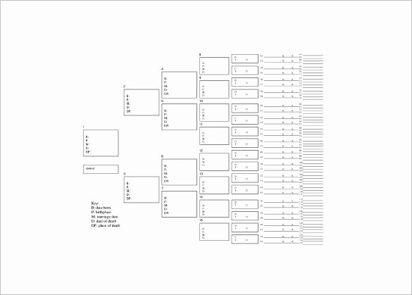 Seven Generation Family Tree Template – 9 Free Word