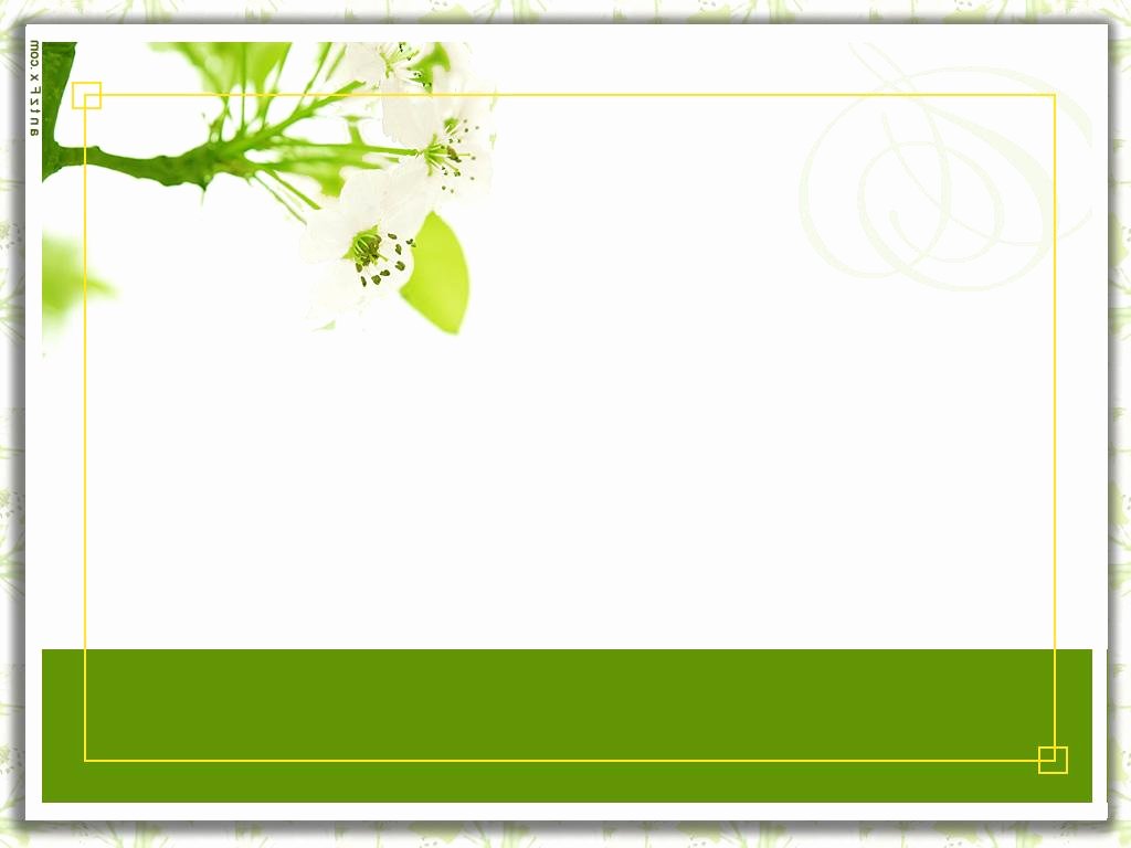 simple designing blank invitation cards modern ideas theme flower plant perfect template layout green white form