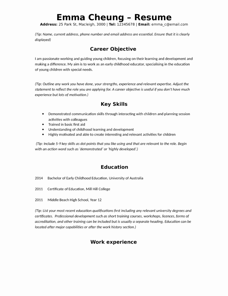 Simple Kids Activity assistant Resume Template