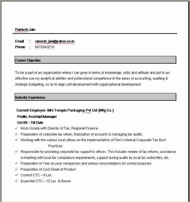 simple resume format in word