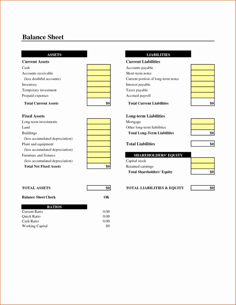 Small Business Accounting Spreadsheet Template and Balance