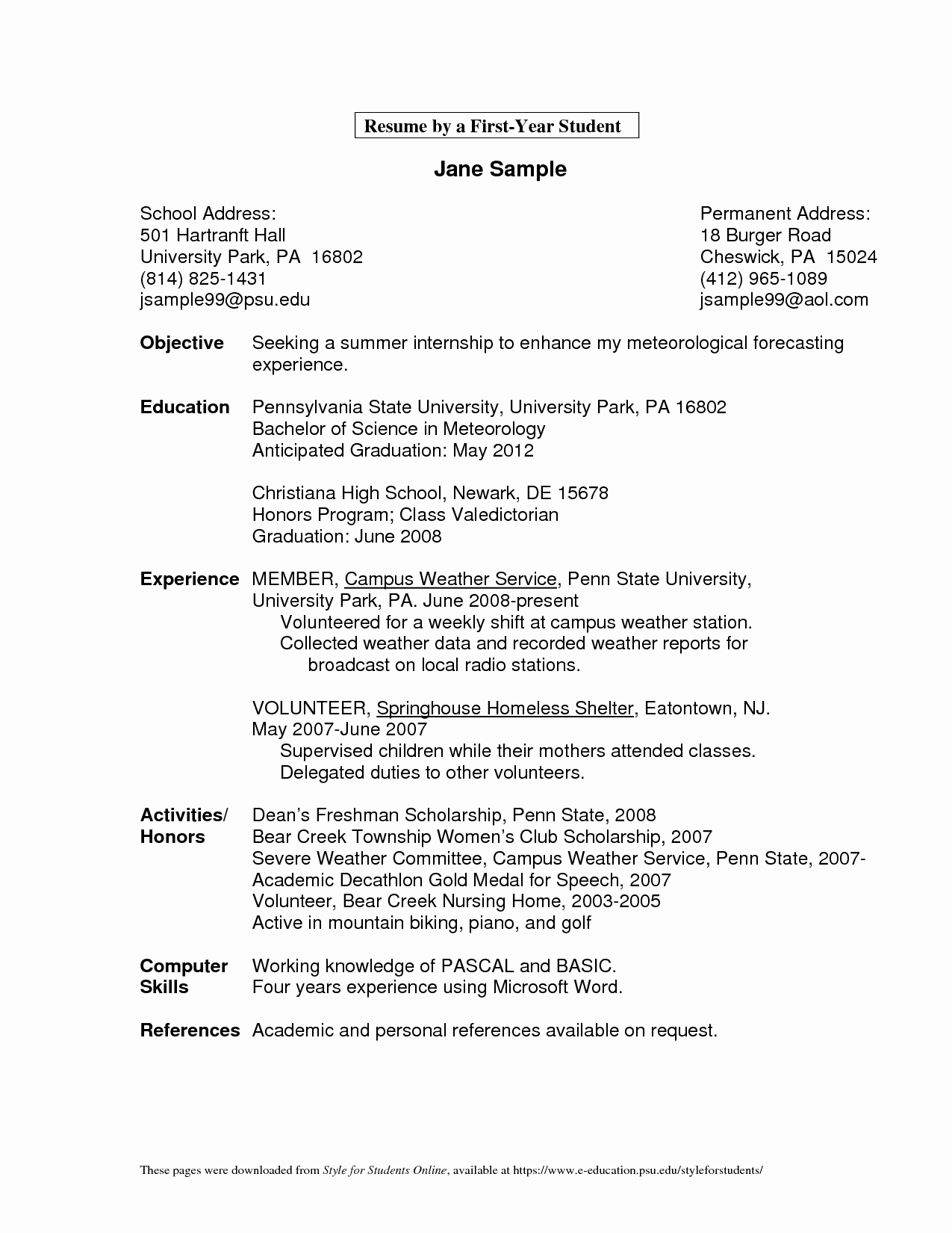 Small Business Owner Resume Template Bongdaao