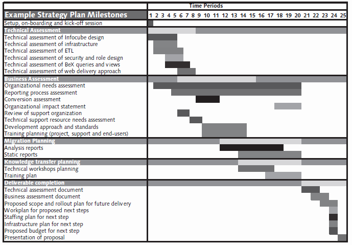 Software Implementation Plan Template Excel