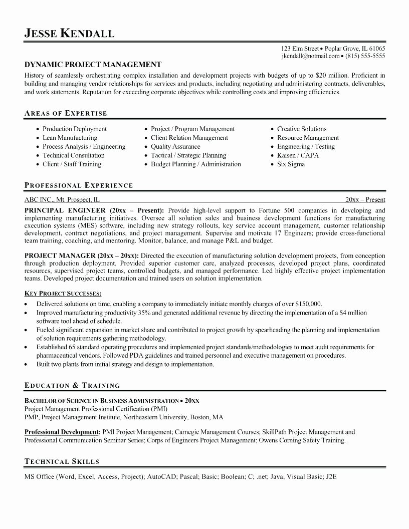 Software Project Manager Resume Sample – Netdevilz