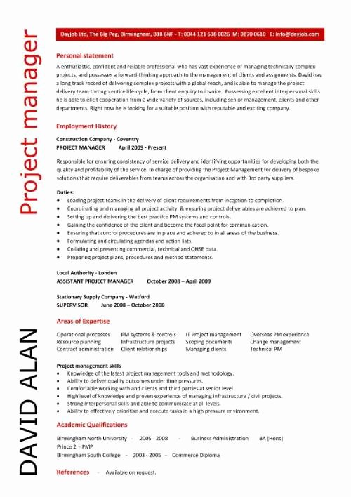 software project manager resume