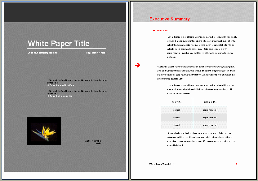 Special Fer Proposal &amp; White Paper Templates