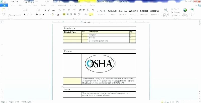 standard work instructions template