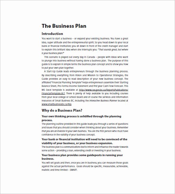 Startup Business Plan Template 18 Free Word Excel Pdf