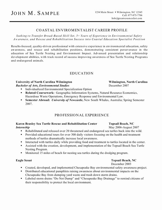 Stay at Home Mom Back to Work Resume Examples