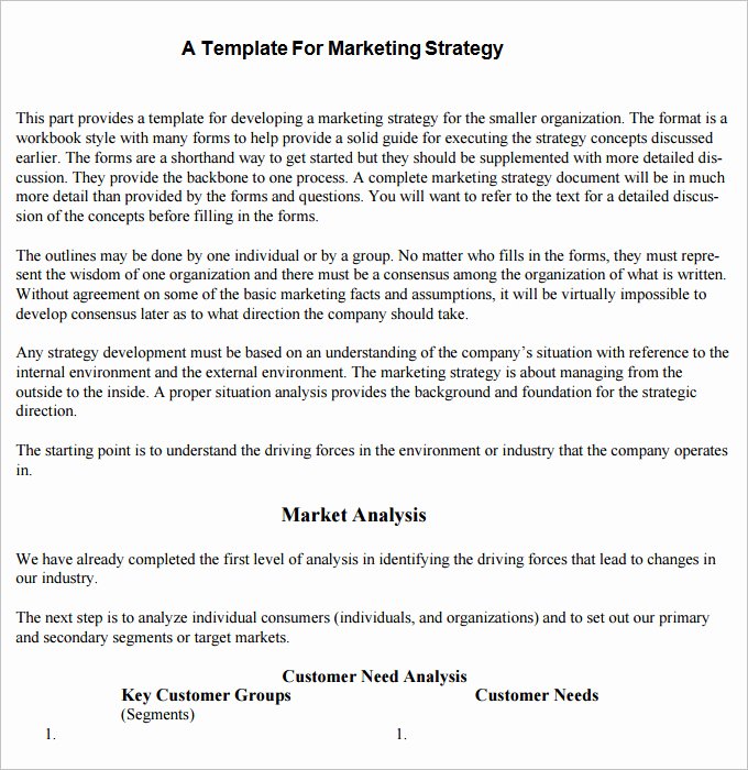 Strategic Marketing Plan Template 10 Free Word Pdf