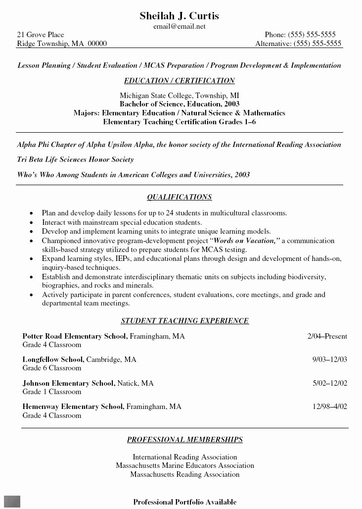 Student Resume Summary Best Resume Collection