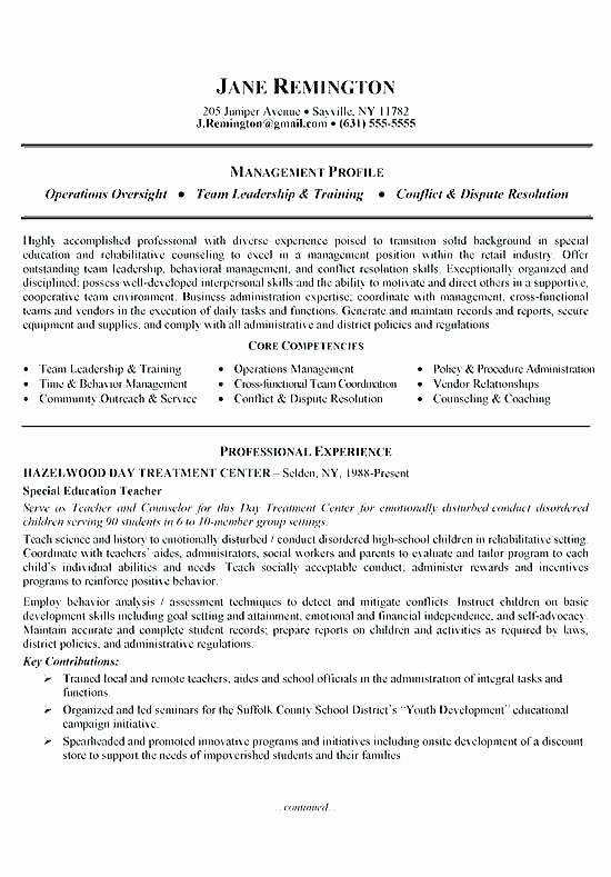 Summary for A Resume Examples – Davidkarlsson