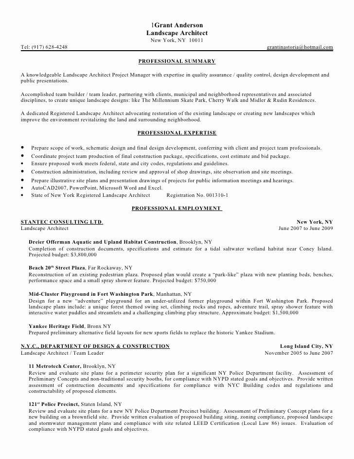 Summary for Resume Best Template Collection