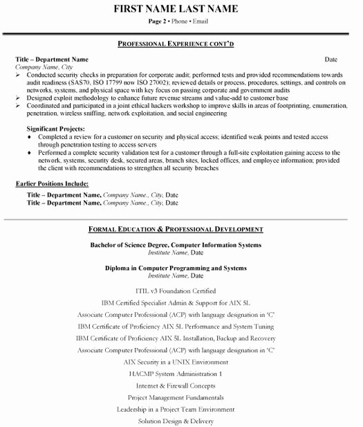 System Analyst Resume Sample &amp; Template