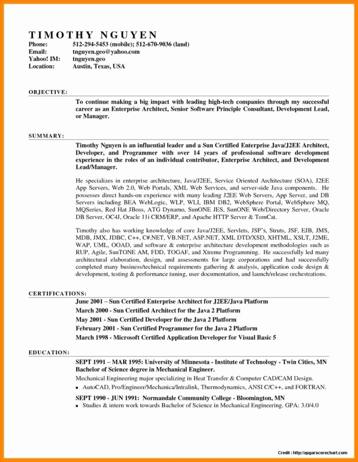 teacher resume templates word free