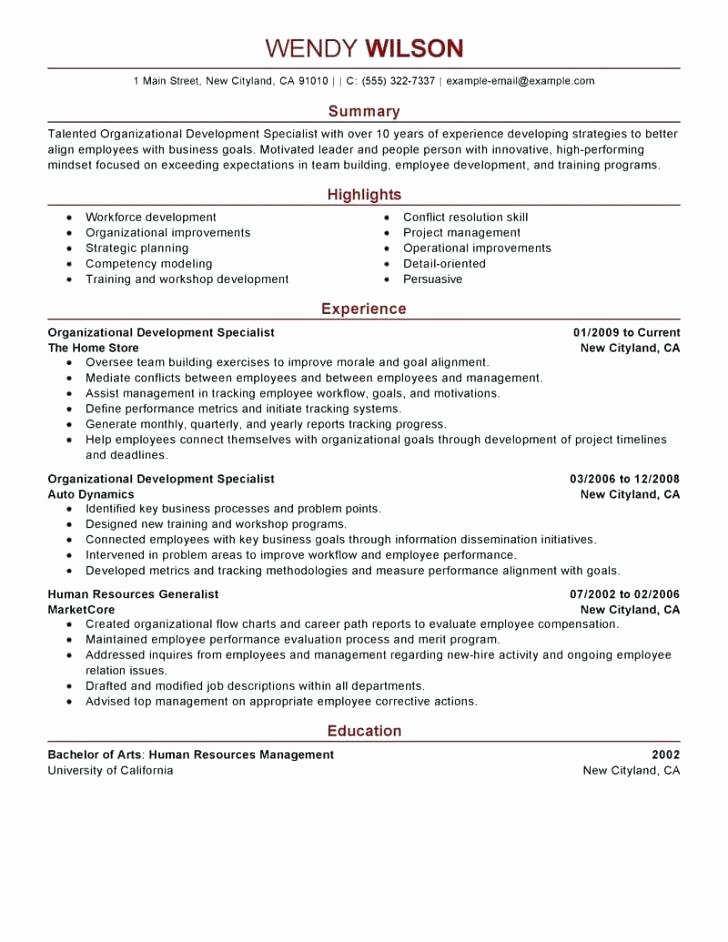 Team Leader Resume Objective Examples Sample Samples