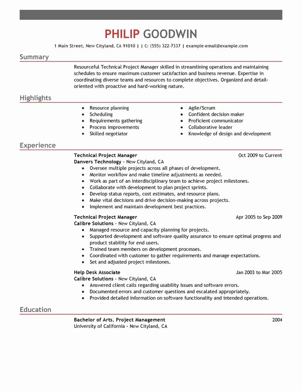 Technical Project Manager Resume Examples – Free to Try