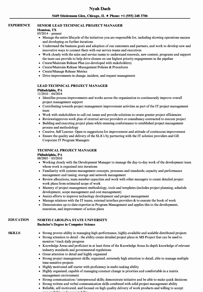 Technical Project Manager Resume Samples