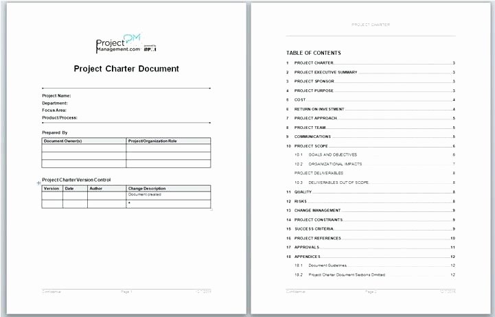 Template Archive for Project Charter Example Free Download