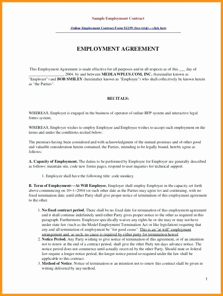 Template Employment Contract Template