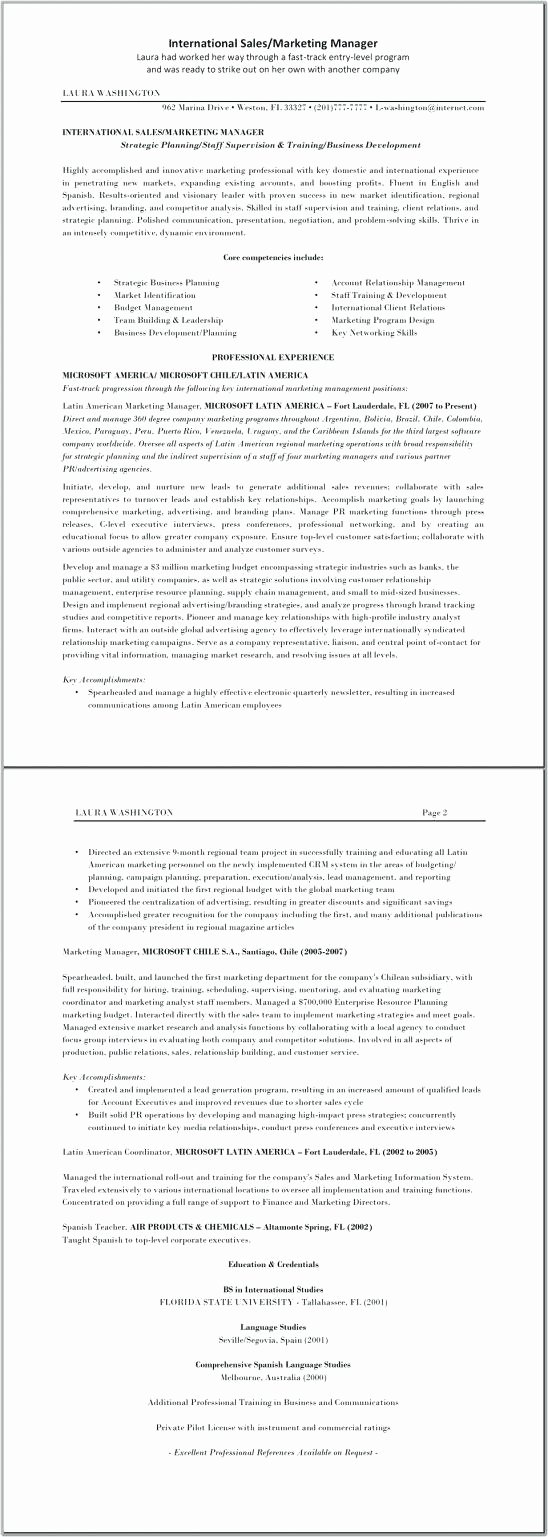 Template Political Campaign Plan Template Manager Resume