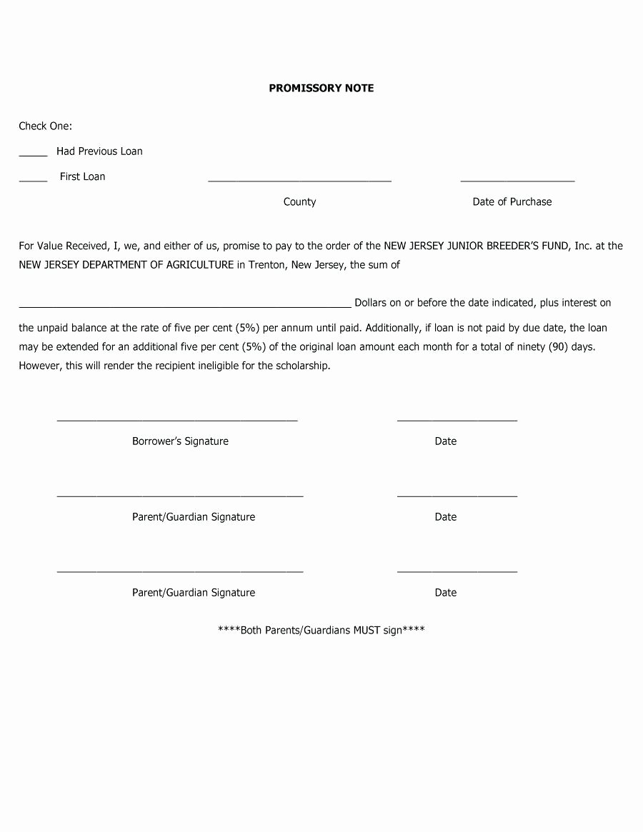 Template Template for Promissory Note for Personal Loan