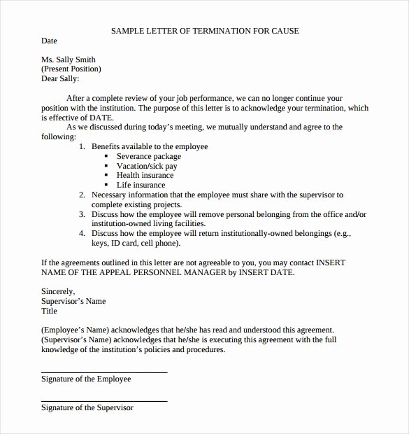 Termination Letters – 18 Free Word Pdf Documents