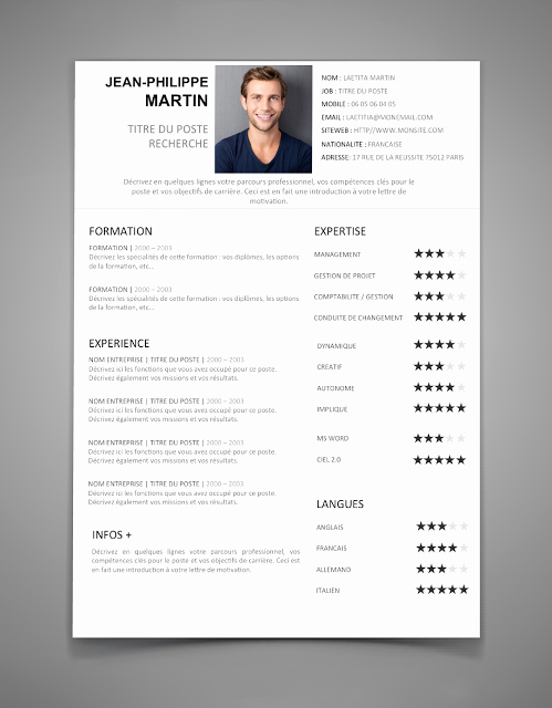 The Best Resume Templates for 2016 2017 Word Stagepfe