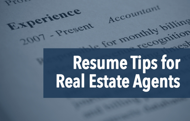 The Real Estate Agent Resume Examples &amp; Tips