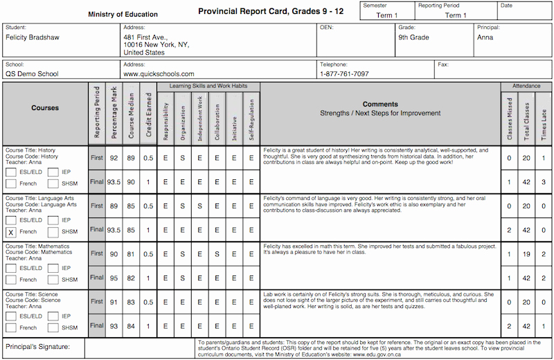 The Tario Province Report Card Template