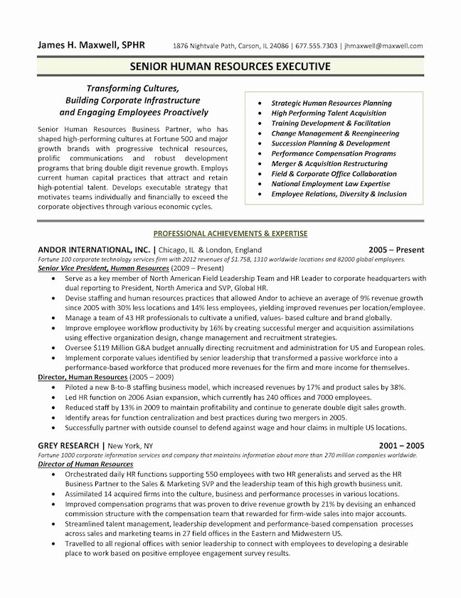 The top 4 Executive Resume Examples Written by A