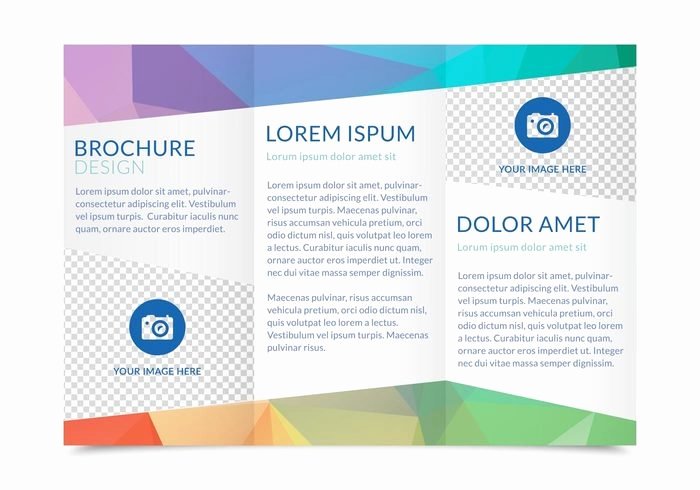 three fold brochure template