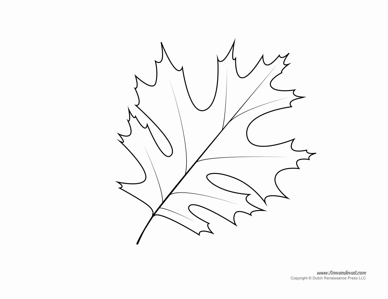 leaf templates