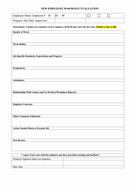 90 day evaluation form